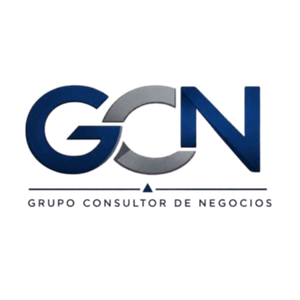GRUPO CONSULTOR DE NEGOCIOS